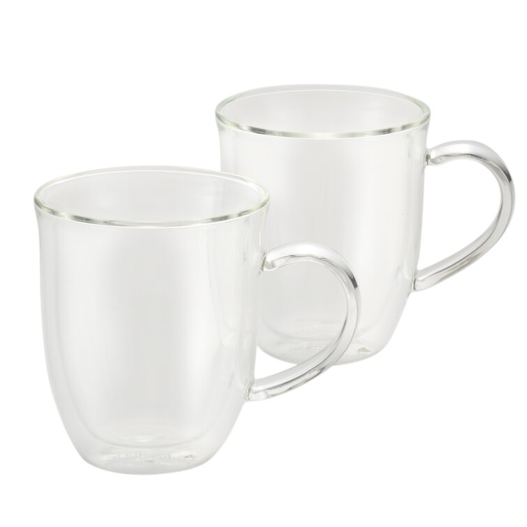 Bonjour Insulated Glass Latte Mug And Reviews Wayfair